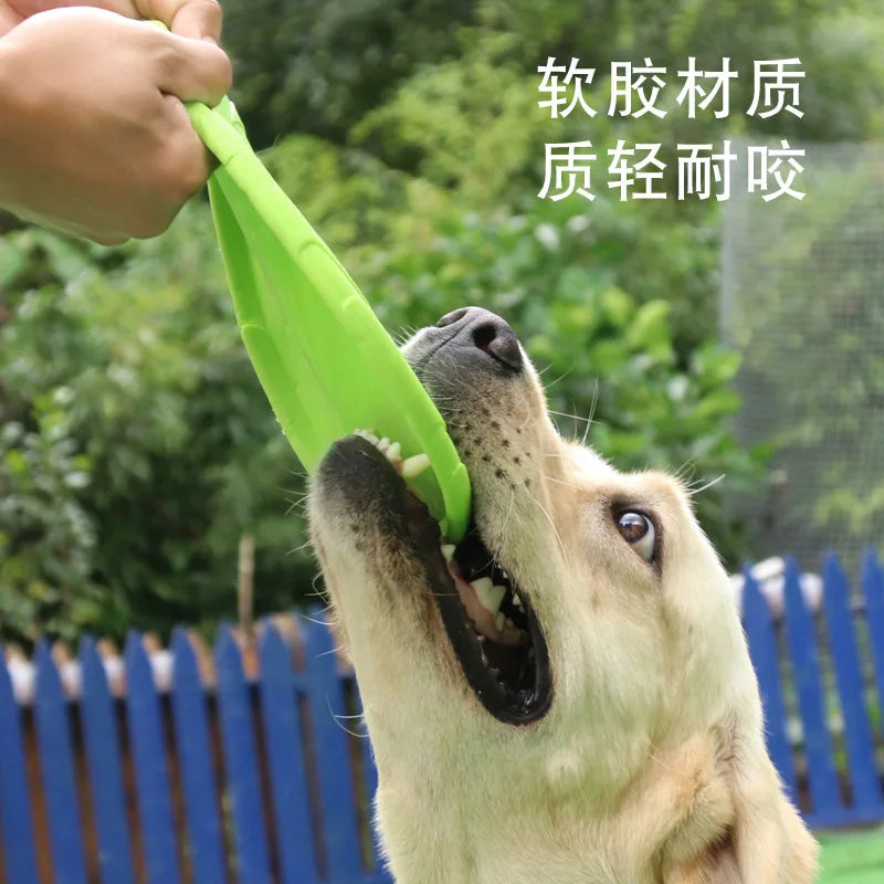 Frisbee Résistant pour Chien – Jouet Interactif Multifonction