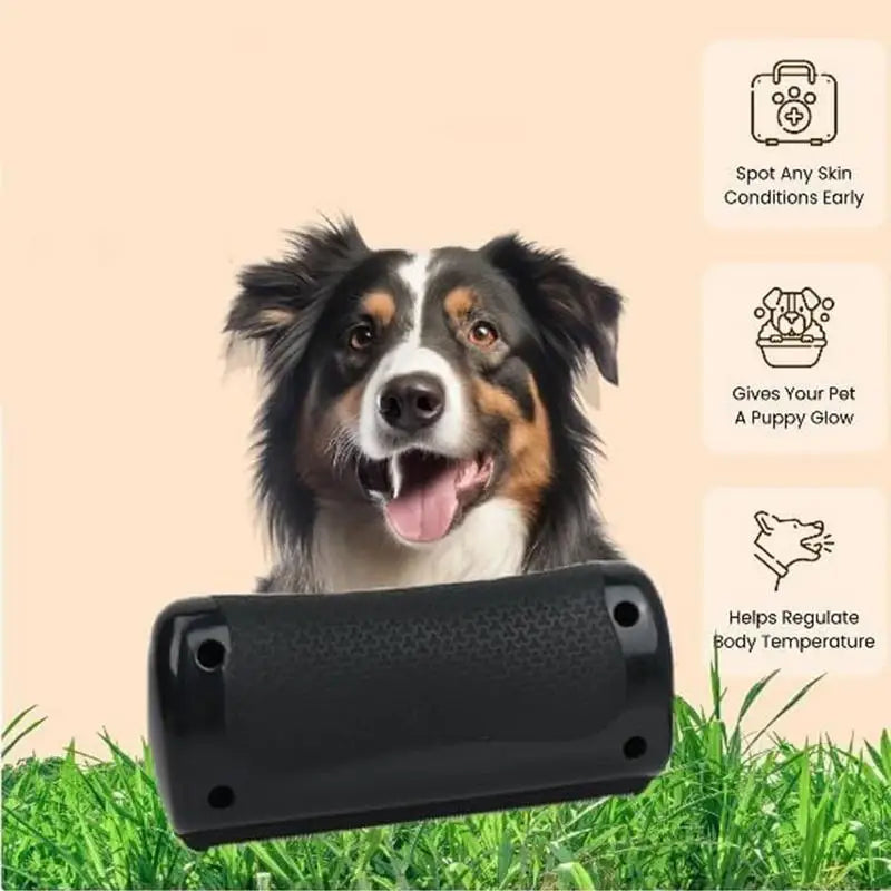Brosse de Toilettage Anti-Poils pour Chien et Chat – Dêmêlant Professionnel