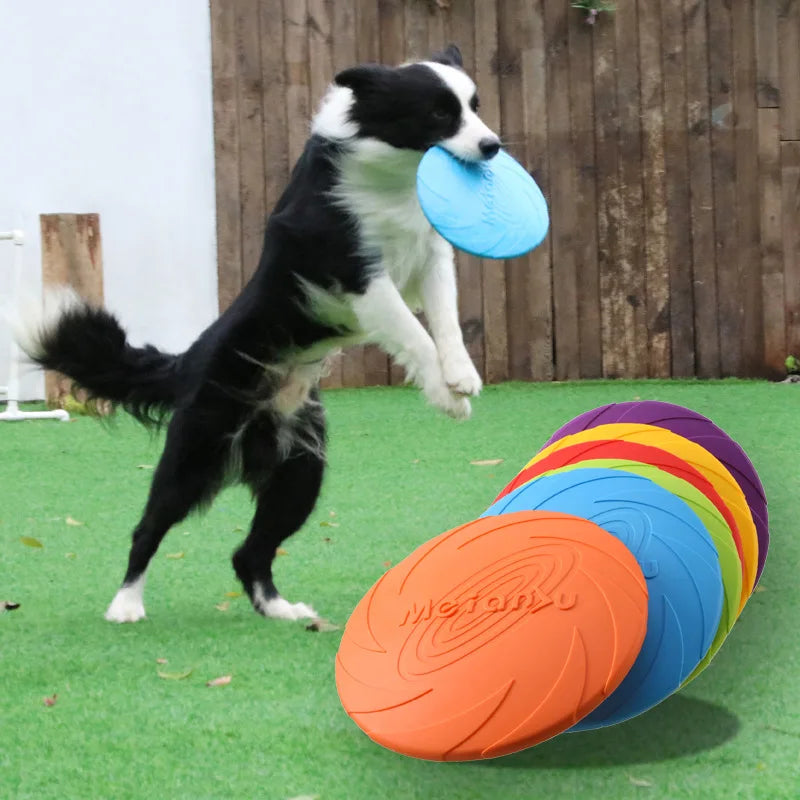 Frisbee Résistant pour Chien – Jouet Interactif Multifonction