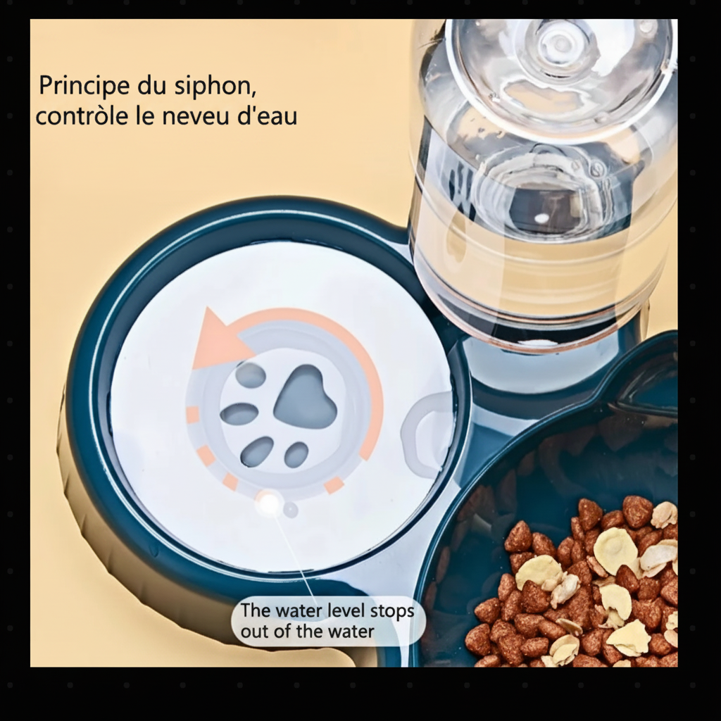 Gamelle chat avec texte français