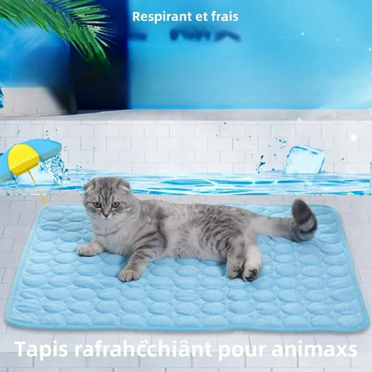 Tapis rafraîchissant français